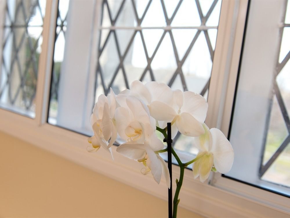 The School House Bed and Breakfast Bridgwater Eksteriør billede