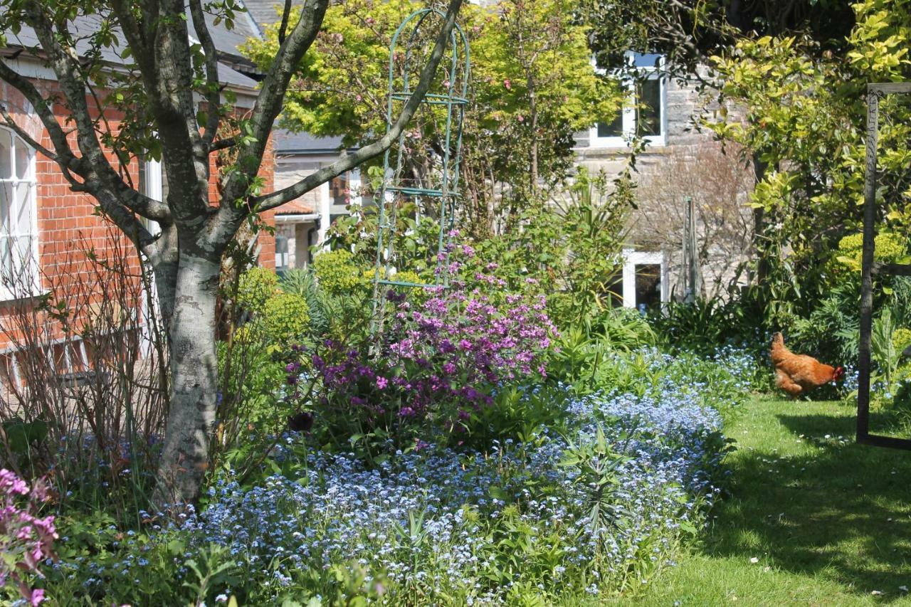 The School House Bed and Breakfast Bridgwater Eksteriør billede